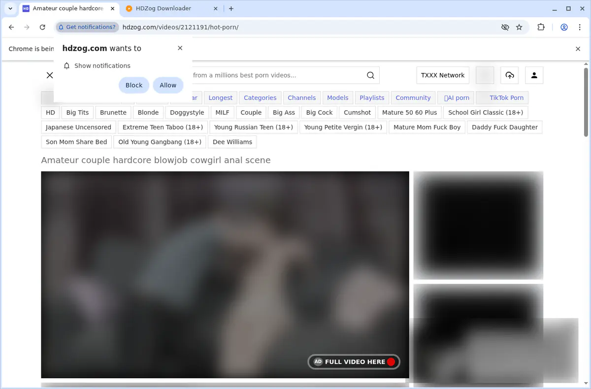 HDZog Video Downloader browser extension screenshot 3
